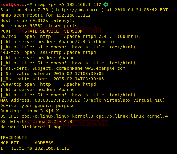 Hack the Freshly VM (CTF Challenge)